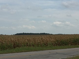 Property photo 22 - FARMLAND AUCTION - 436+/- ACRES IN 10 TRACTS IN AUGLAIZE COUNTY, OH
